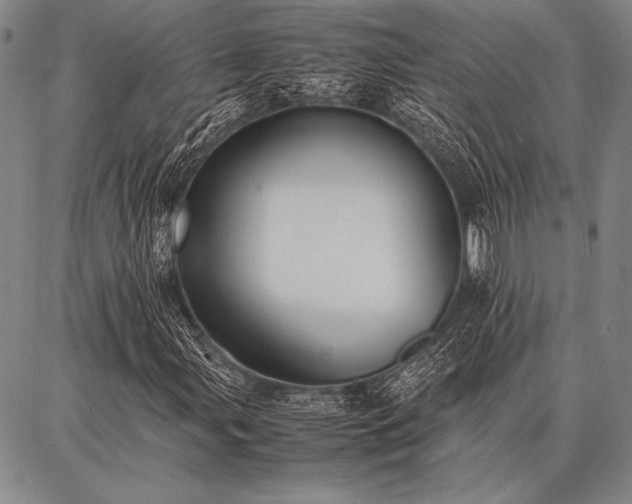 X0000086921107200704231258