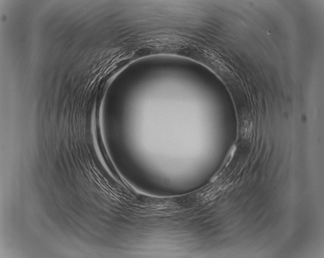 X0000086921108200704231258
