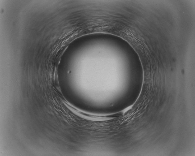 X0000086921109200704231258