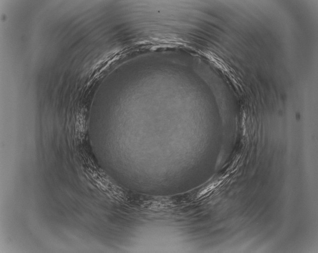 X0000086921110200704231258