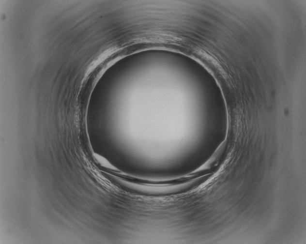 X0000086921114200704231258