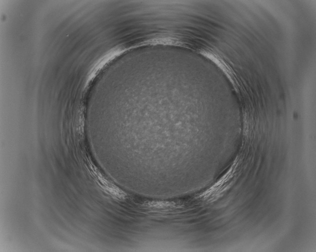 X0000086921115200704231258