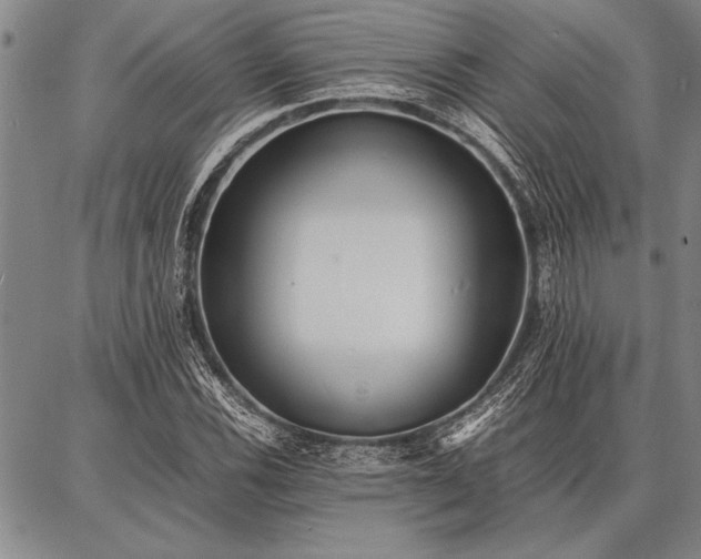 X0000086921116200704231258
