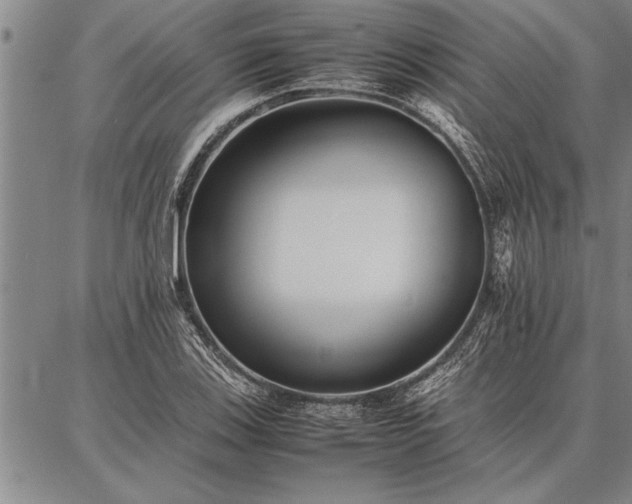 X0000086921123200704231258