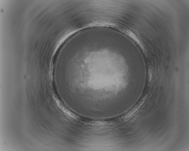 X0000086921124200704231258
