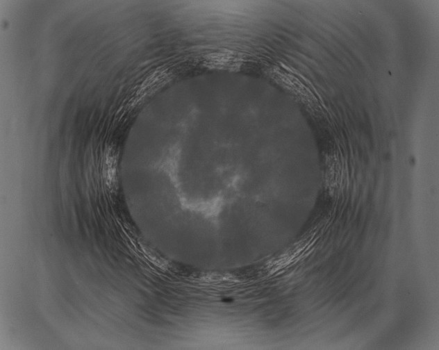 X0000086921154200704231258