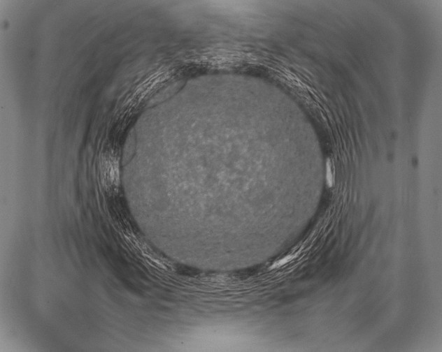 X0000086921155200704231258