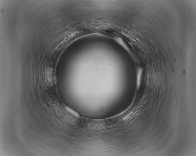X0000086921156200704231258