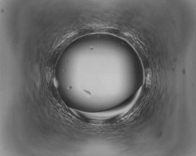 X0000086921157200704231258