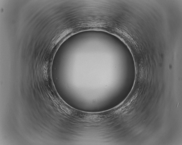 X0000086921162200704231258