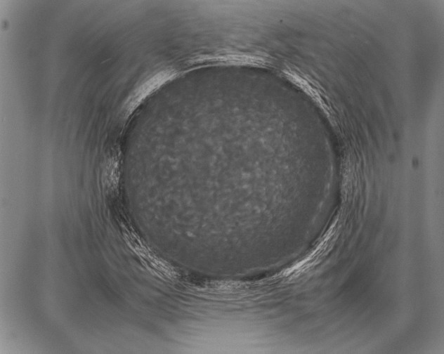X0000086921163200704231258