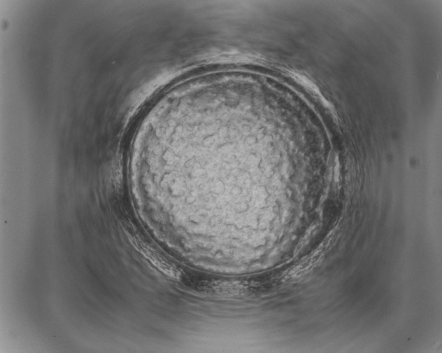 X0000086921167200704231258