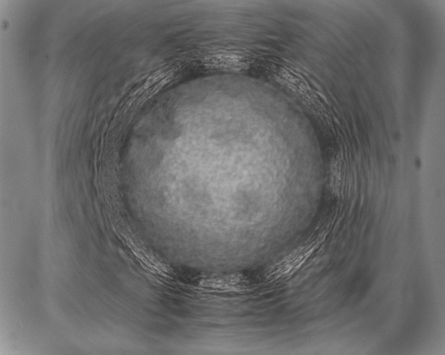 X0000086921201200704231256