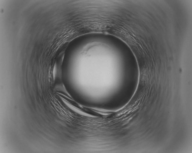 X0000086921202200704231256