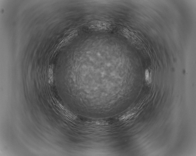 X0000086921203200704231256