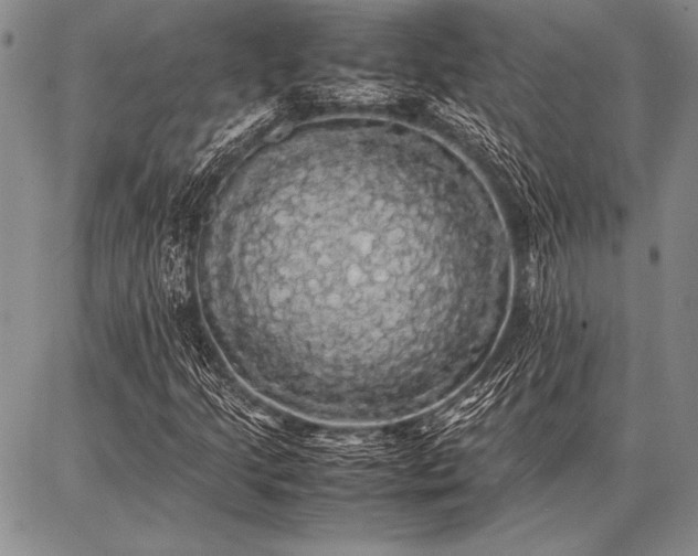 X0000086921205200704231256
