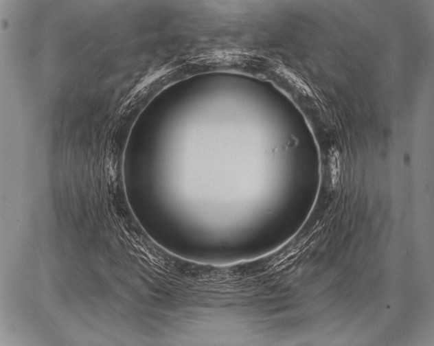 X0000086921206200704231256