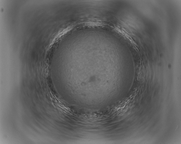 X0000086921207200704231256