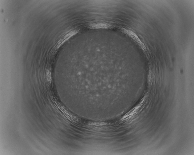 X0000086921209200704231256