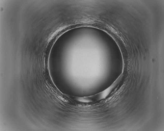X0000086921214200704231257