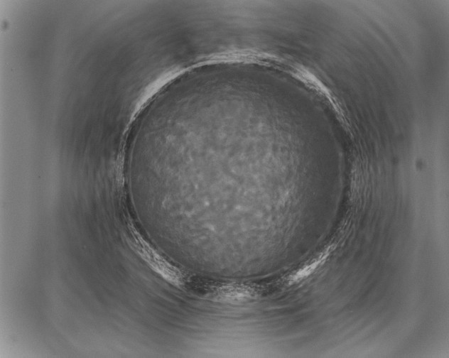 X0000086921216200704231257