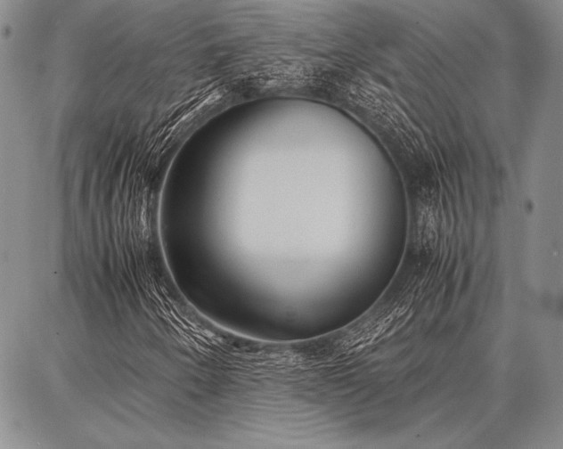 X0000086921250200704231256