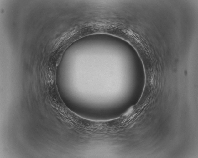 X0000086921253200704231256