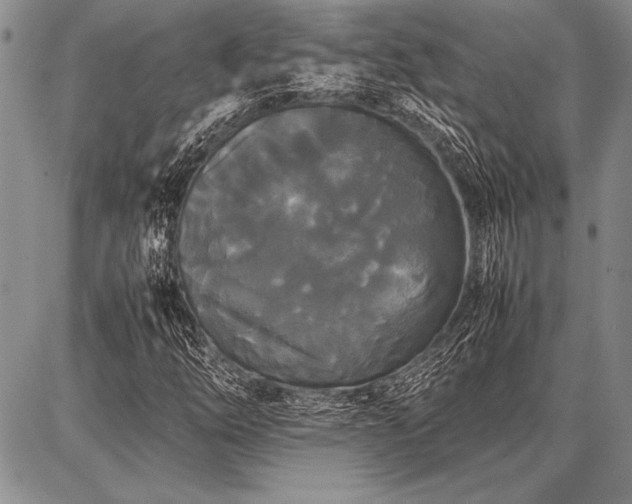 X0000086921254200704231256