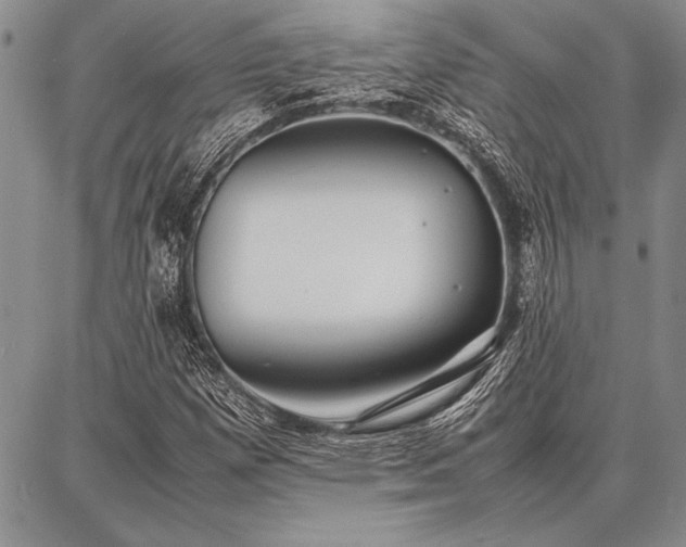 X0000086921257200704231256