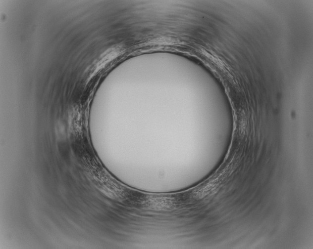 X0000086921258200704231256