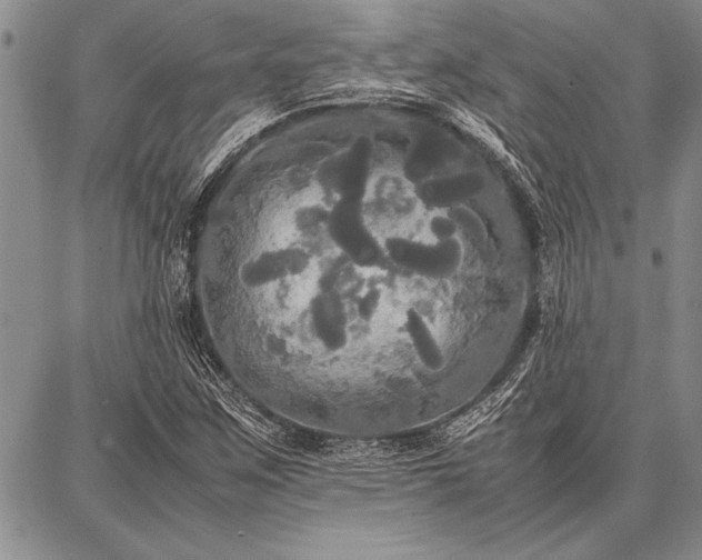 X0000086921259200704231256