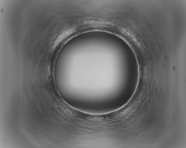 X0000086921261200704231256