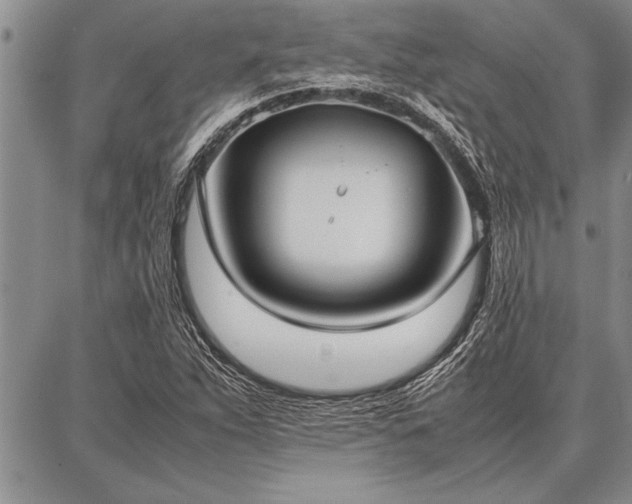 X0000086921263200704231256
