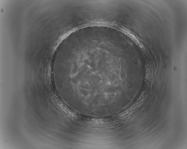 X0000086921264200704231256