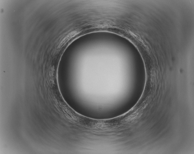 X0000086921265200704231256