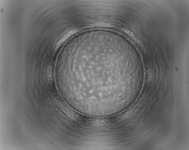 X0000086921266200704231256