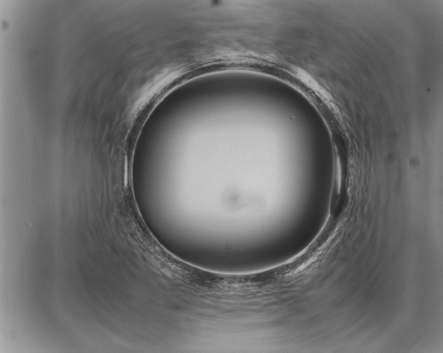 X0000086921269200704231256