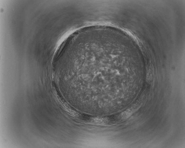 X0000086921271200704231256