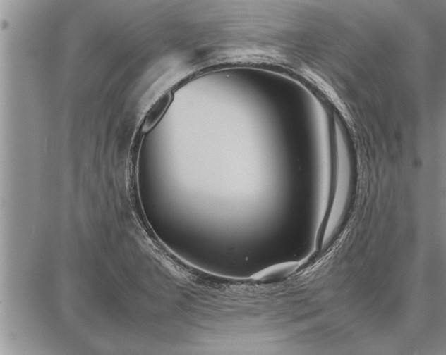 X0000086921277200704231256