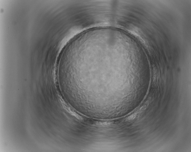 X0000086921278200704231256