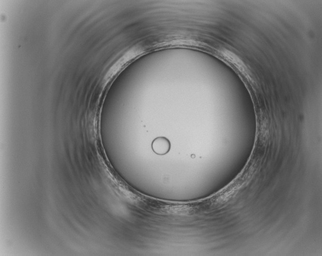 X0000086921282200704231256