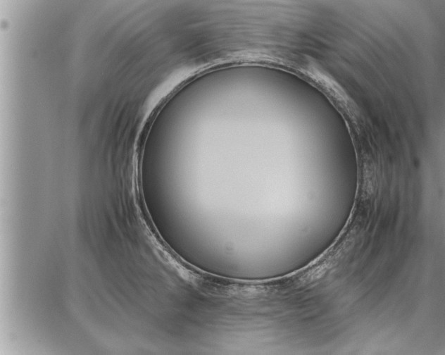 X0000086921286200704231256