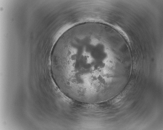 X0000086921287200704231256