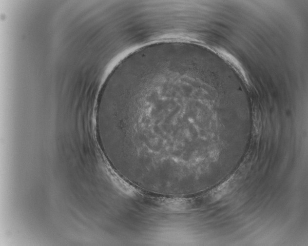 X0000086921288200704231256