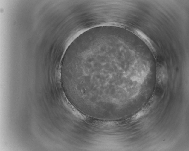 X0000086921292200704231256