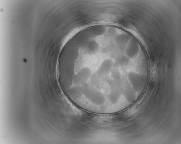 X0000086921294200704231256