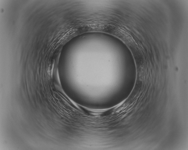 X0000086921298200704231255