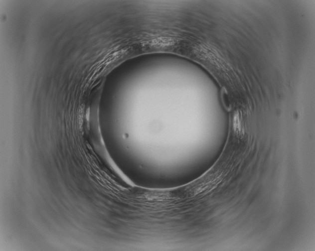 X0000086921299200704231255