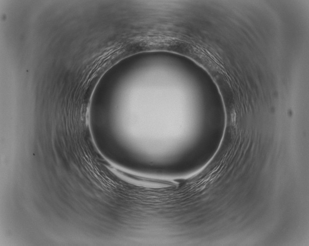X0000086921300200704231255