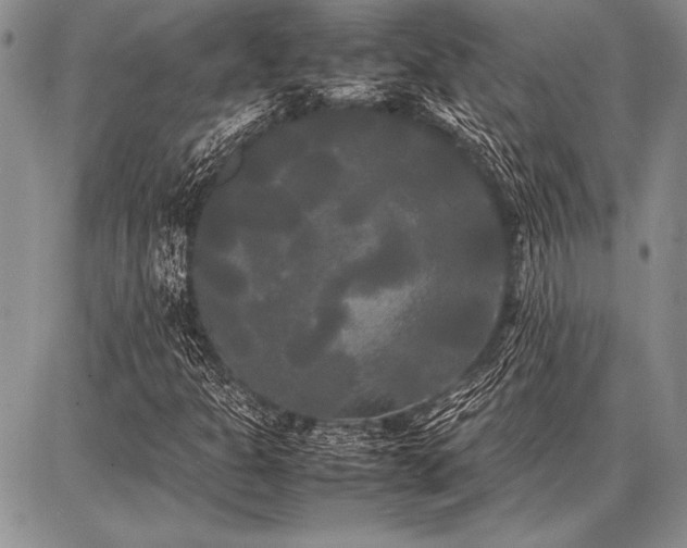 X0000086921301200704231255